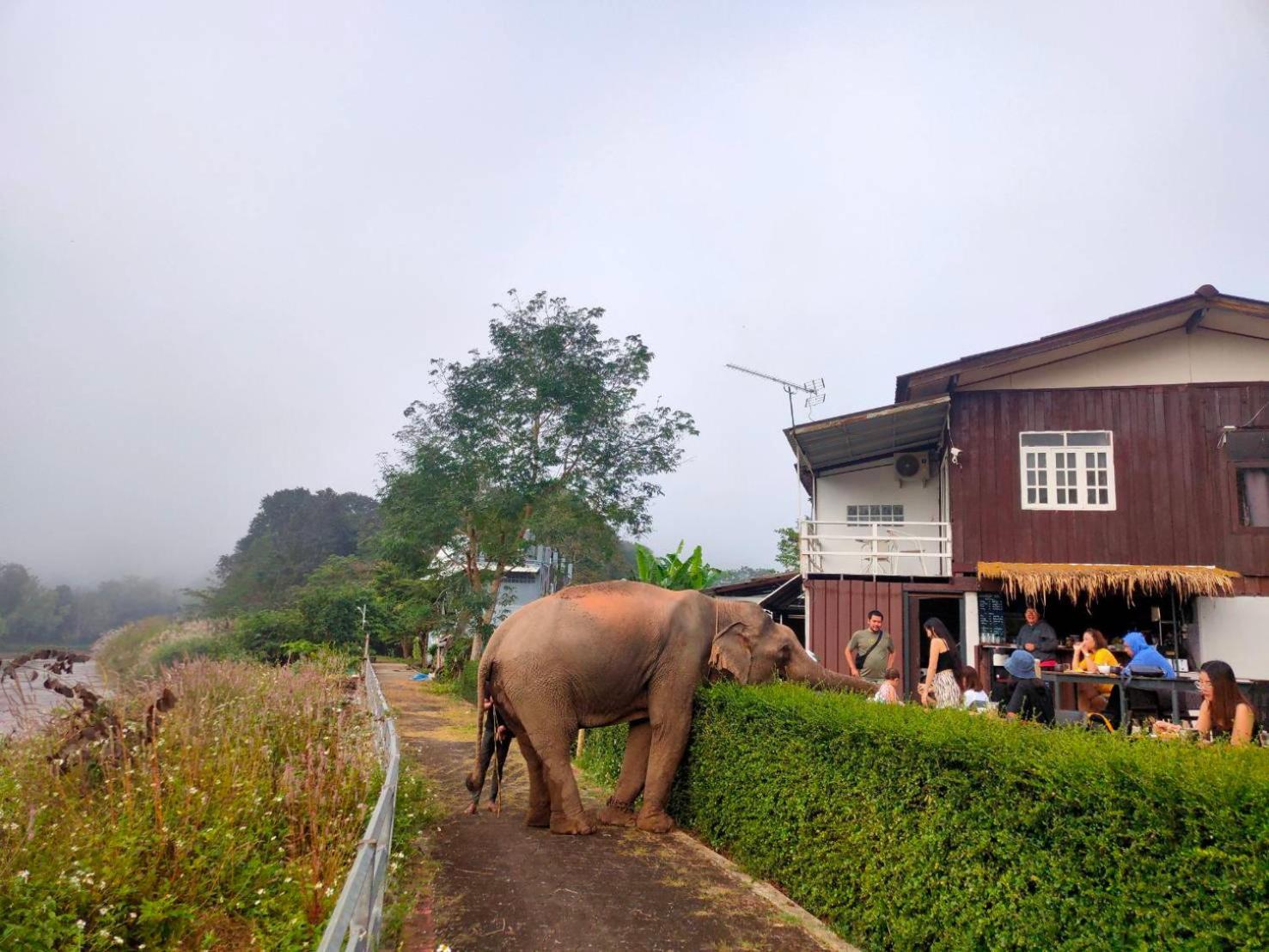 ริมกก โฮมสเตย์ Rim-Kok Homestay Chiang Rai Exterior photo